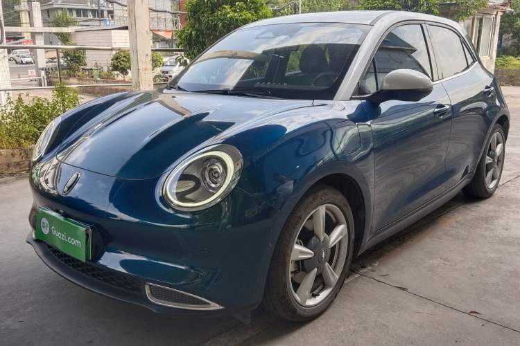 Used ORA Good Cat 2021 500km Long-Range Poseidon Edition Lithium-Ion Battery
