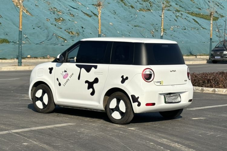 Used Qiyuan Lumin 2023 205km Xiangqin Version
