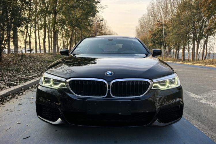 Used BMW 5 Series 2020 530Li Luxury Edition M Sport Package
