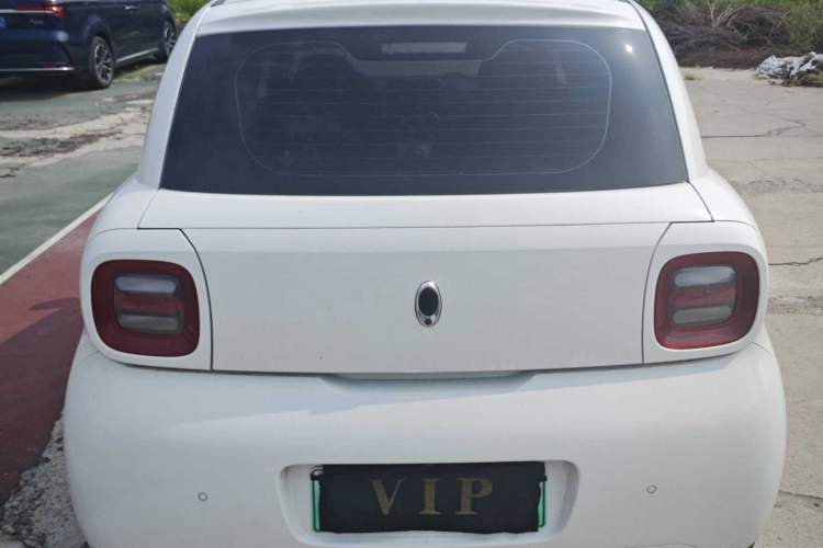 Used ORA Black Cat 2019 351 km Family Edition
