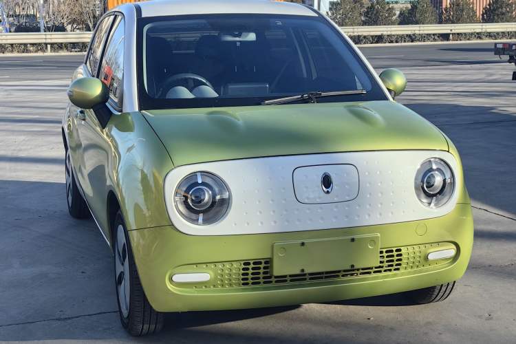 Used ORA Black Cat 2019 301km Standard Edition
