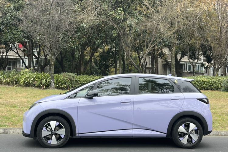 Used BYD Dolphin 2023 420 km Free Version
