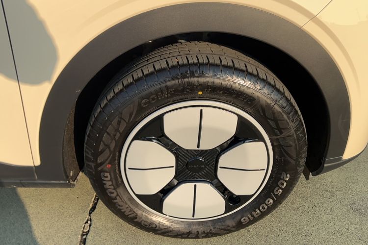 Used  Geome 2025 310km Youth Edition