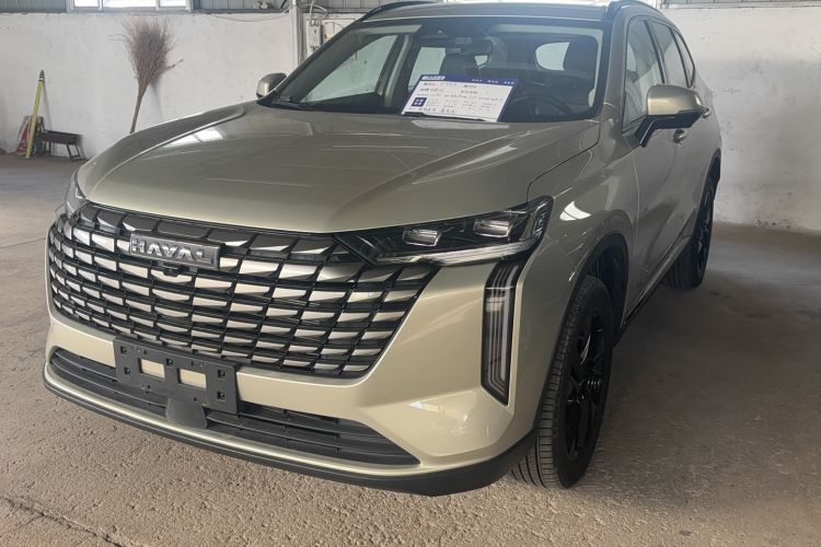 Used Haval H6 2024 1.5T Two-Wheel Drive Ultra