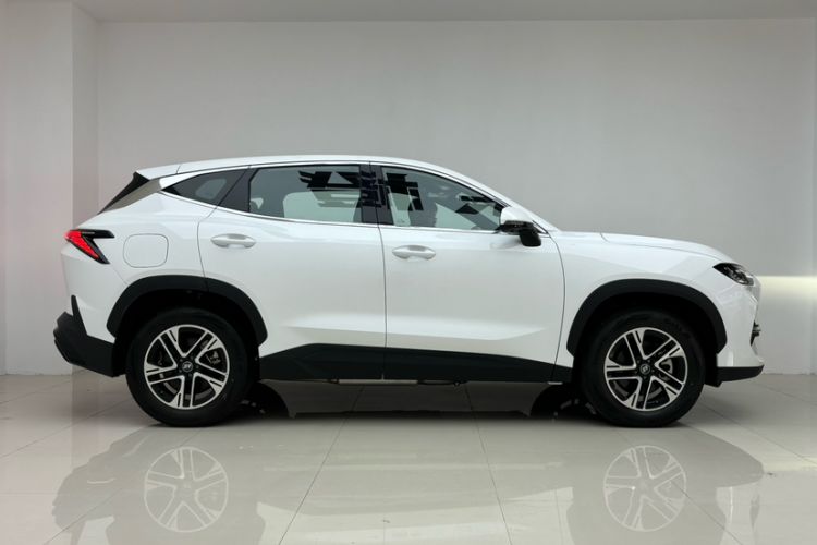 Used  Shanhai L6 2024 1.5TD DHT MAX
