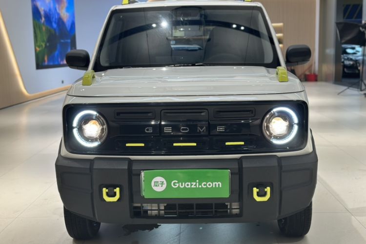 Used  Panda 2024 200km Panda Rider