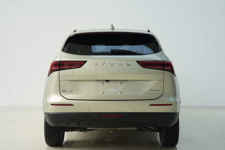 Used Haval H6 2024 1.5T Two-Wheel Drive Max
