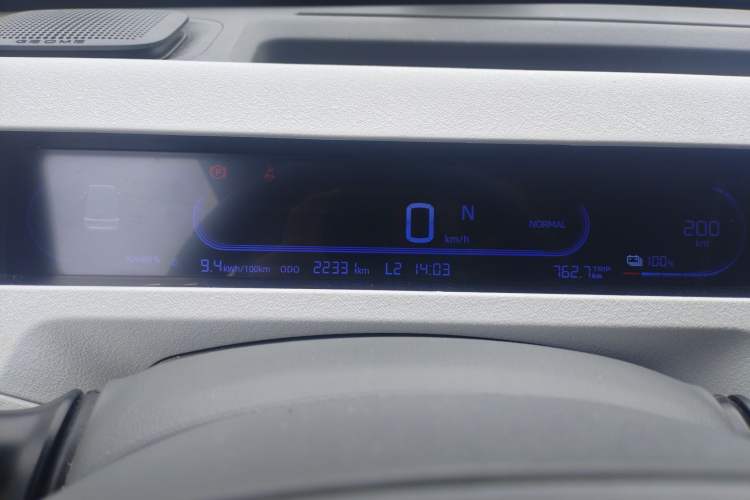 Used  Panda 2024 Panda Mini 200km Endurance Bear
