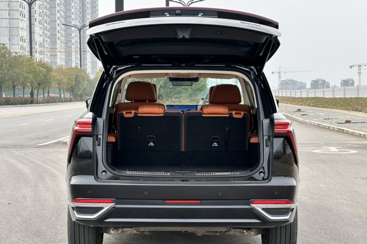 Used Wey Lanshan 2025 Four-Wheel Drive Max