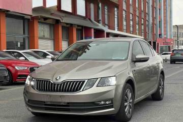 Used Skoda Octavia 2019 TSI230 DSG Smart & Comfort Edition China VI Standard