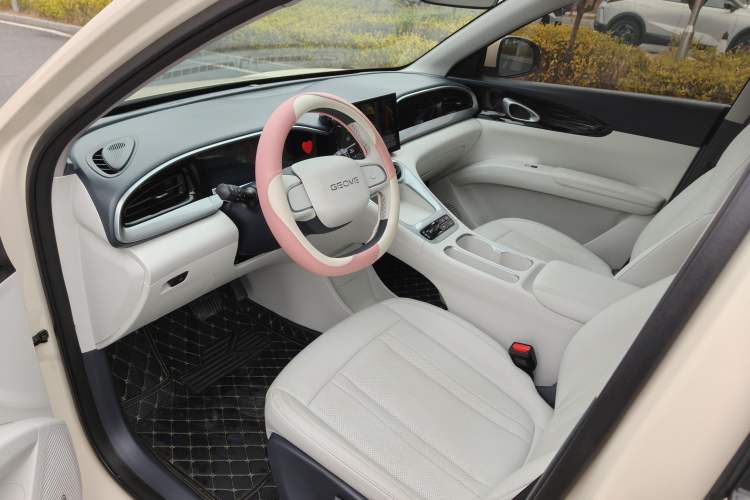 Used  Geome 2025 310km Youth Edition