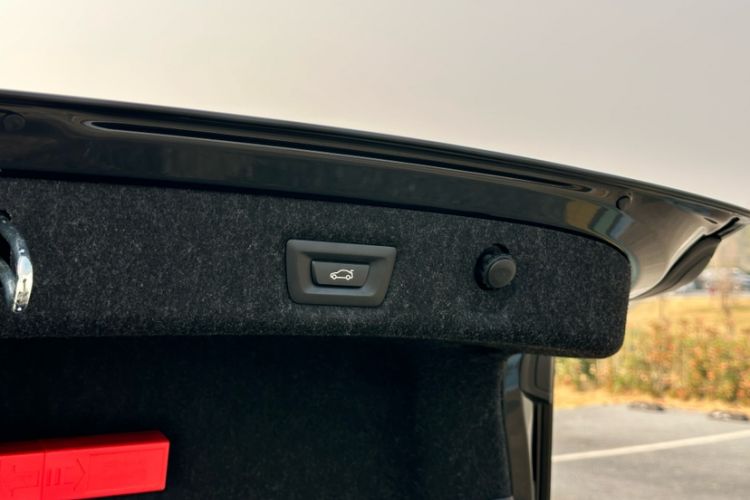 Used BMW 5 Series 2020 530Li Leading Edition Luxury Package