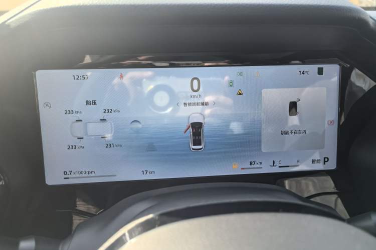 Used Geely Auto Monjaro L 2024 2.0TD DCT EVO Two-Wheel Drive Long-Range Version