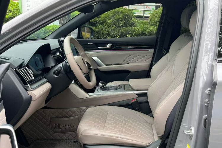 Used BYD Tang New Energy 2025 DM-i 115KM Prestige Model