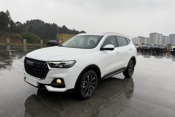 Used Haval H6 2023 National Trend Edition 1.5T Automatic Urban Version