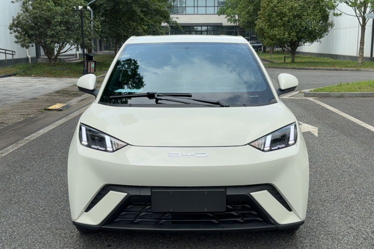 Used BYD Seagull 2023 Free Edition
