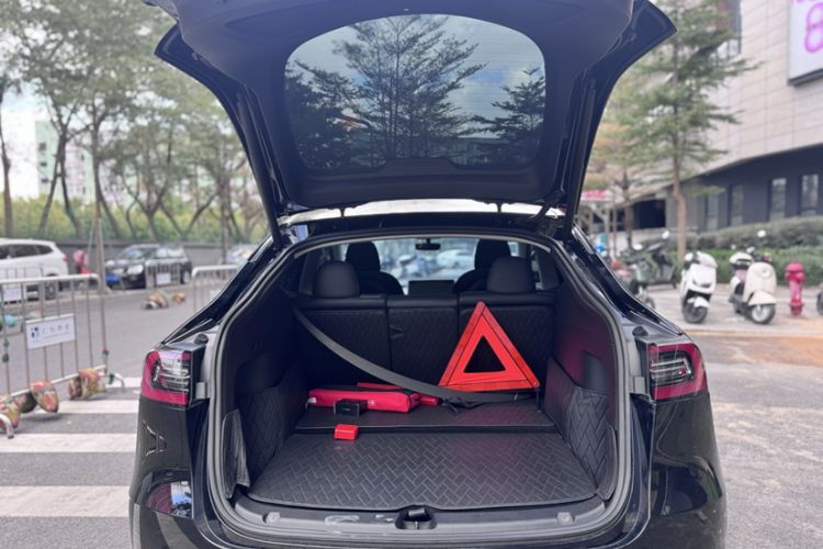 Used Tesla Model Y 2021 Standard Range Rear-Wheel Drive Version
