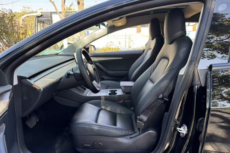 Used Tesla Model 3 2022 Rear-Wheel-Drive Version