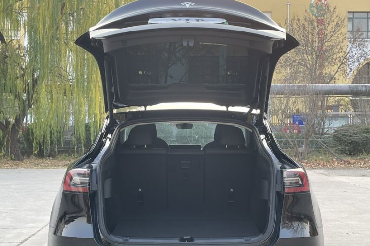 Used Tesla Model Y 2021 Standard Range Rear-Wheel Drive Version
