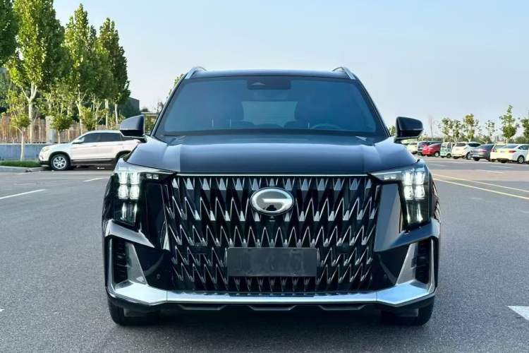 Used GAC Trumpchi GS8 2022 Double-Energy Series 2.0TM Two-Wheel Drive Prestige Edition (6 Seats)
