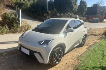 Used BYD Seagull 2025 305 km Free Version