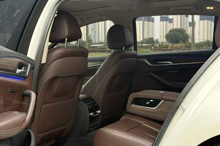 Used BMW 5 Series New Energy 2019 530Le Luxury Package
