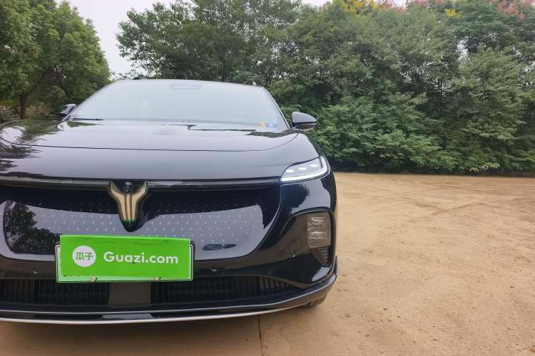 Used VOYAH COURAGE 2024 Four-Wheel Drive Global Edition
