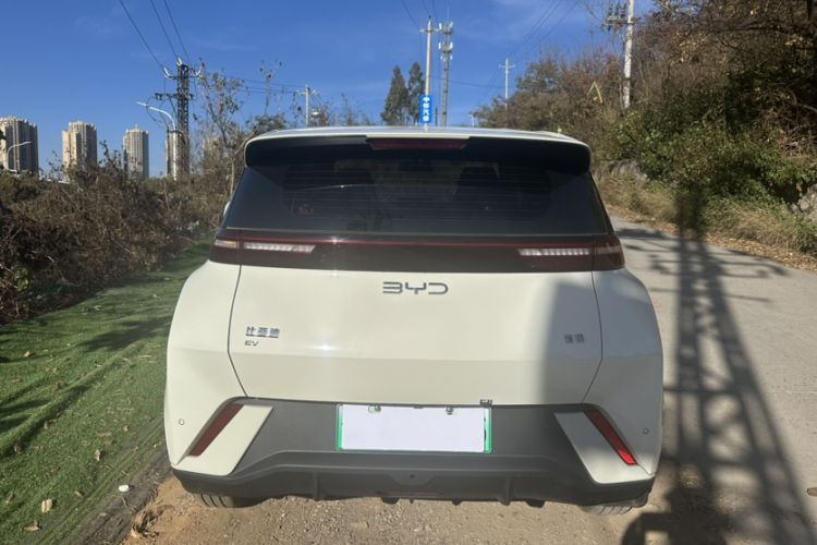 Used BYD Seagull 2025 305 km Free Version
