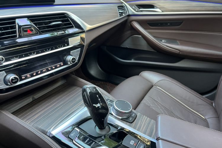 Used BMW 5 Series 2020 530Li Luxury Edition Premium Package
