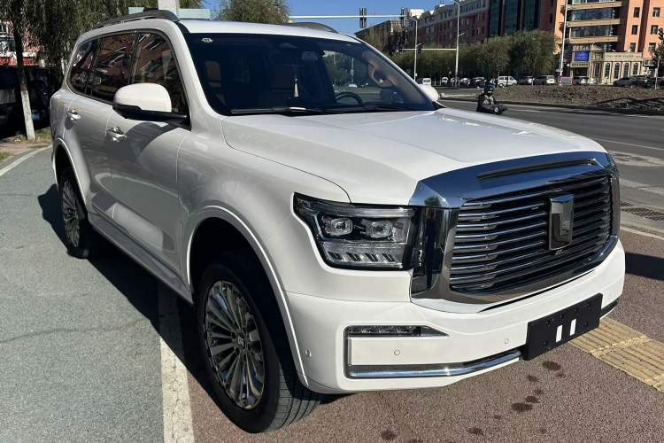 Used Tank 500 New Energy 2023 Hi4-T