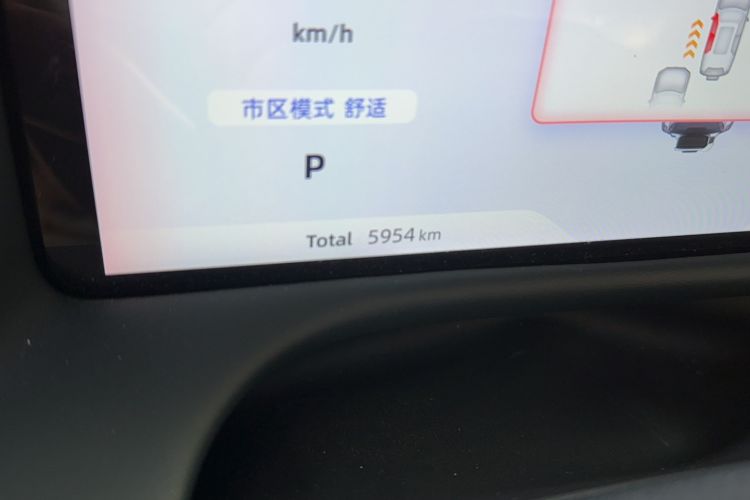 Used  G318 2025 Worry-Free Adventure Edition Four-Wheel Drive Secret Realm Version
