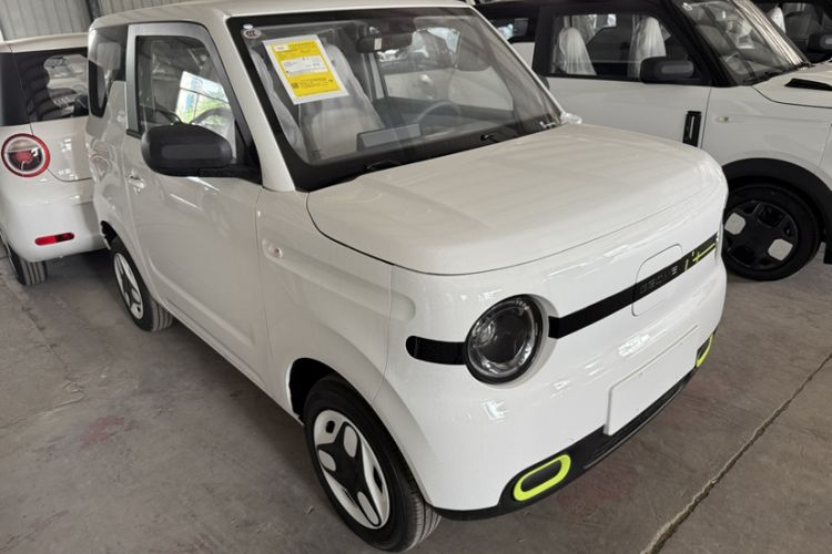 Used  Panda 2025 210 km – Yuanqi Bear
