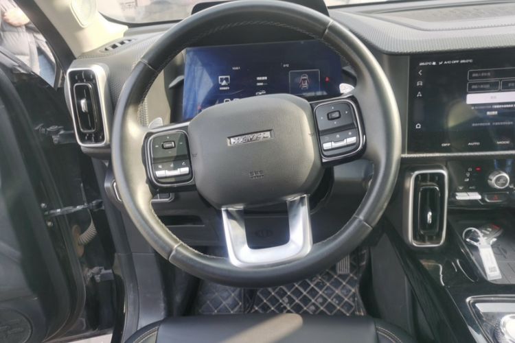 Used Haval DARGO 2021 2.0T DCT 4x4 Chinese Rural Dog Edition
