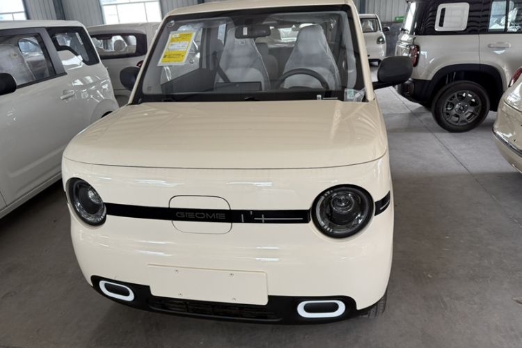 Used  Panda 2025 210 km – Yuanqi Bear
