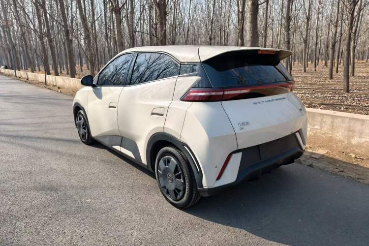 Used BYD Seagull 2023 Active Version
