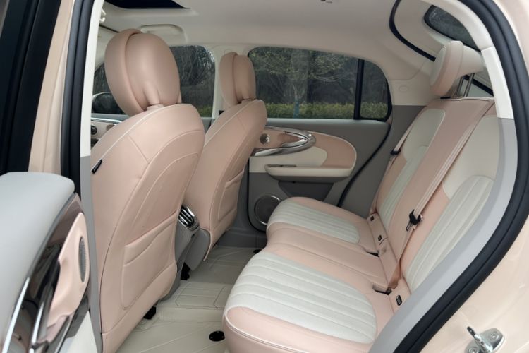 Used ORA Ballet Cat 2023 401 km Luxury Version