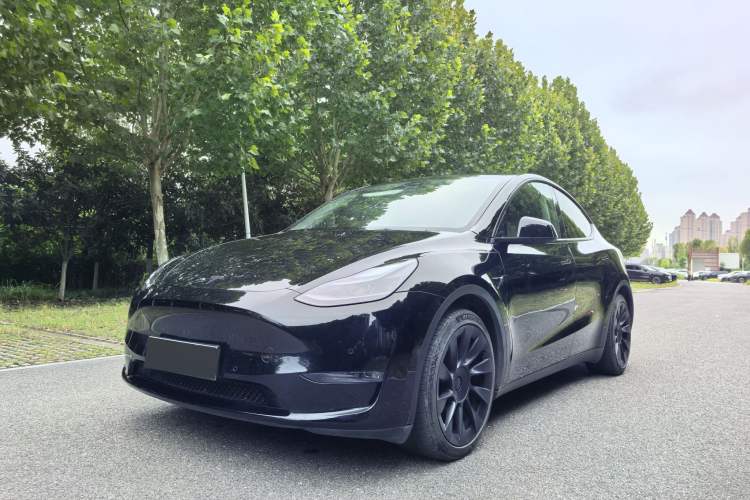 Used Tesla Model Y 2021 Standard Range Rear-Wheel Drive Version
