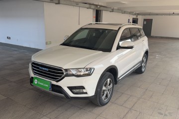 Used Haval H6 Coupe 2016 Blue Label 1.5T Automatic Two-Wheel Drive Elite Model