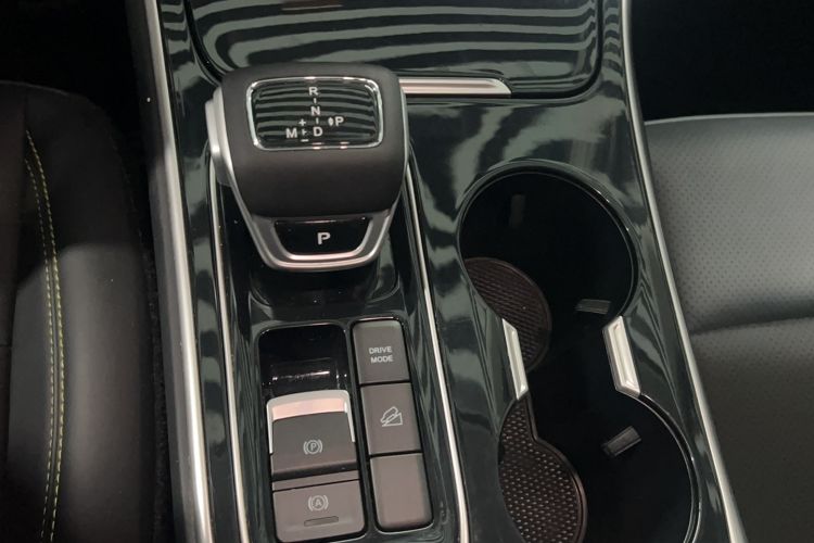 Used FORTHING T5 EVO 2024 Kungbiao Edition 1.5TD DCT Platinum Model