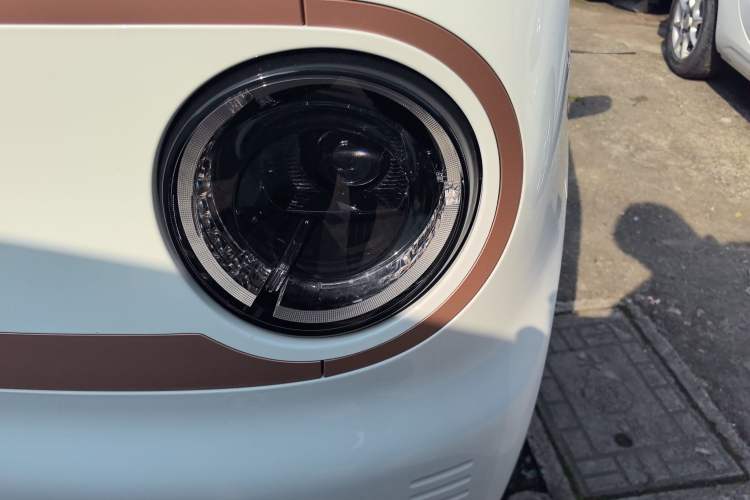 Used  Panda 2024 Panda Mini 200km Endurance Bear
