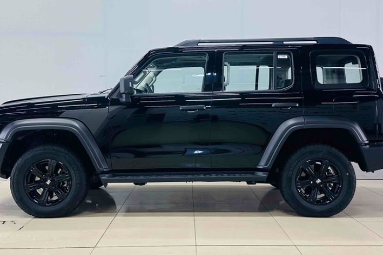 Used Tank 300 2024 2.0T Challenger
