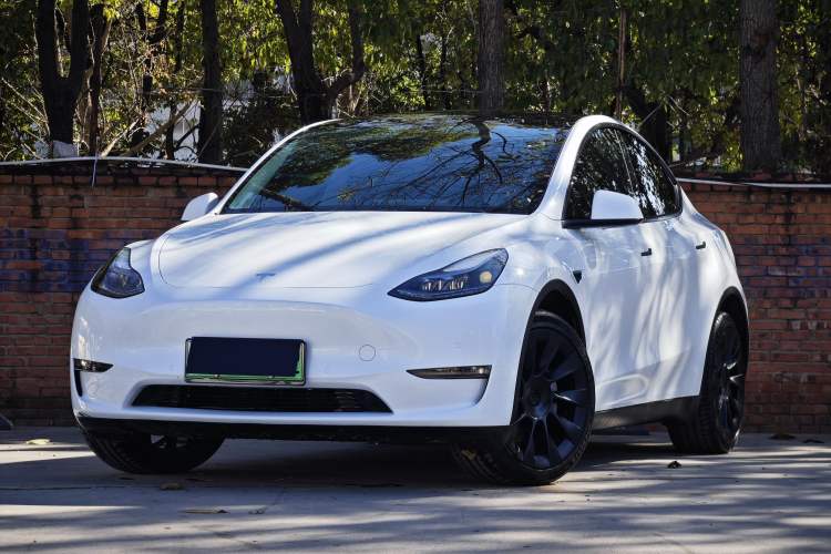 Used Tesla Model Y 2022 Revised Version Long-Range All-Wheel Drive