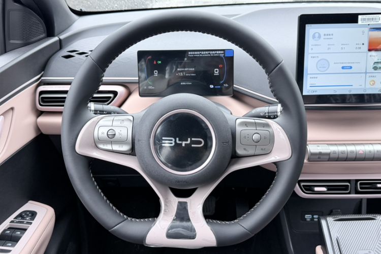 Used BYD Seagull 2025 305 km Free Version
