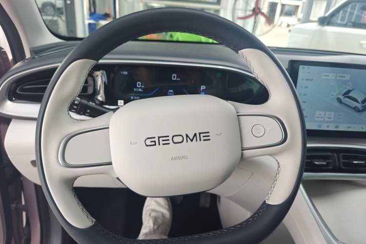 Used  Geome 2025 310km Youth Edition
