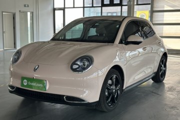 Used ORA Good Cat 2024 401 km Luxury Version