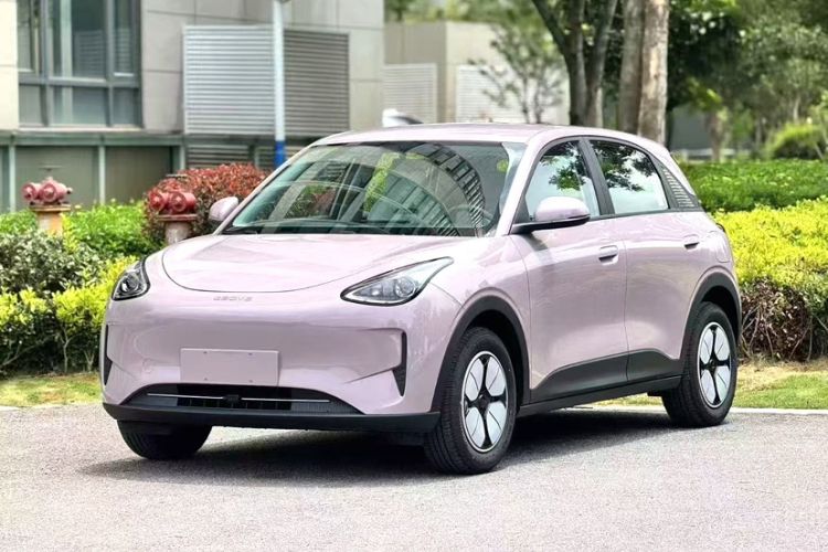 Used  Geome 2025 310km Youth Edition
