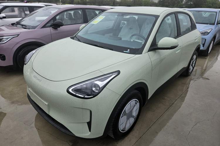 Used  Geome 2025 310km Youth Edition
