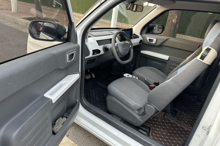 Used  Panda 2023 Panda Mini 200km Endurance Bear