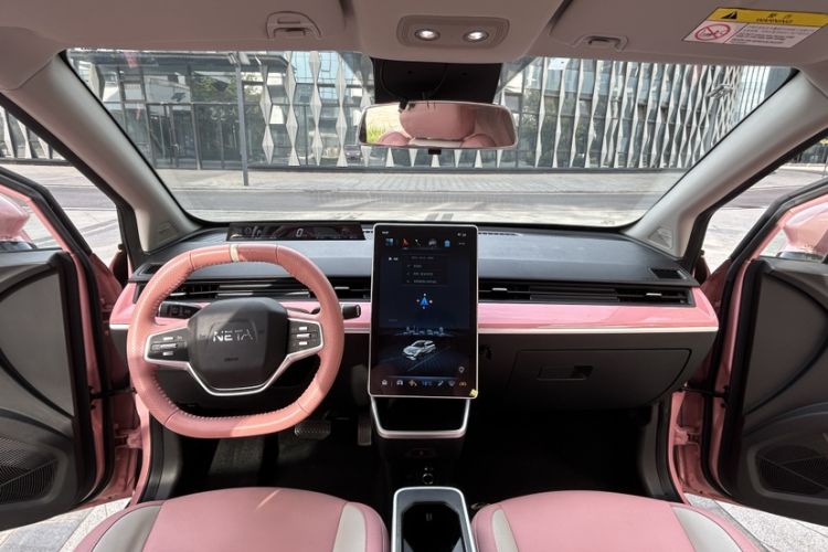 Used NETA V 2021 Witch Edition
