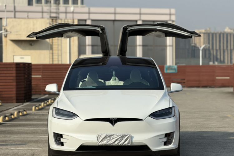 Used Tesla Model X 2019 Long-Range Version
